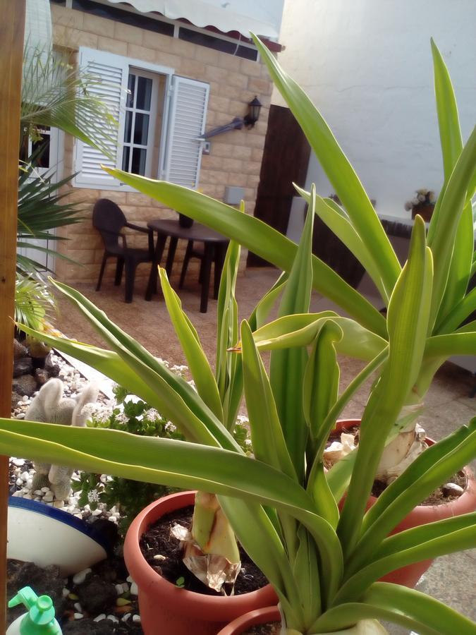 Solo Adultos, Las Tuneras Rooms La Oliva Exteriér fotografie